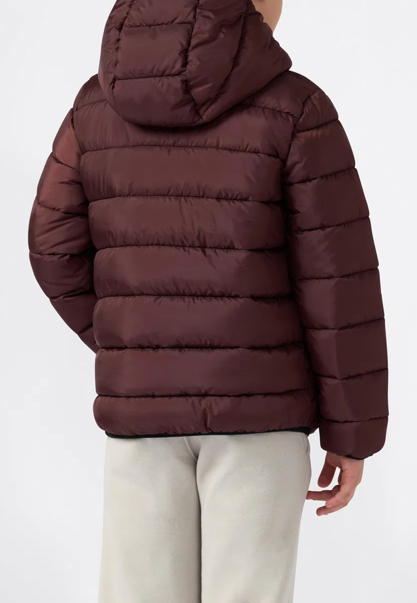 Champion Legacy Boys Chaqueta Niños